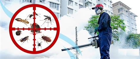 Impact Environmental Pest Prevention Ltd