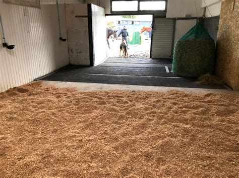 Implitude Equicoaching à Tourcoing