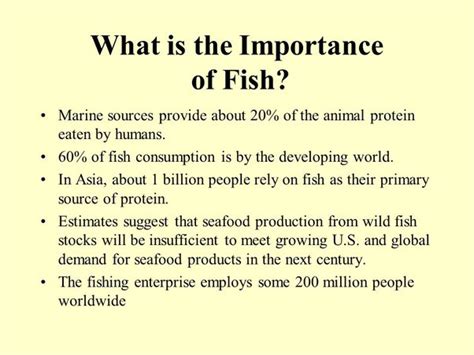 Importance of fishing reports