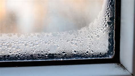 Improved Energy Efficiency Window Tinting in Naples