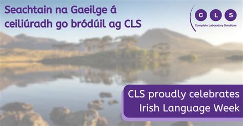 In defence of Gaeilge: How Trinity’s Societies are working to bring back the Irish Language