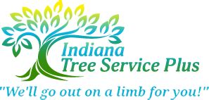 Indiana Tree Service Plus