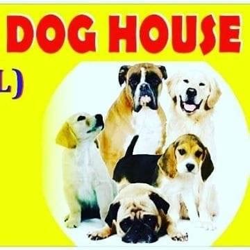 Indore Pet House