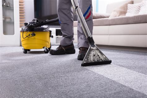 Indy Cleanpro - Carpet Cleaner