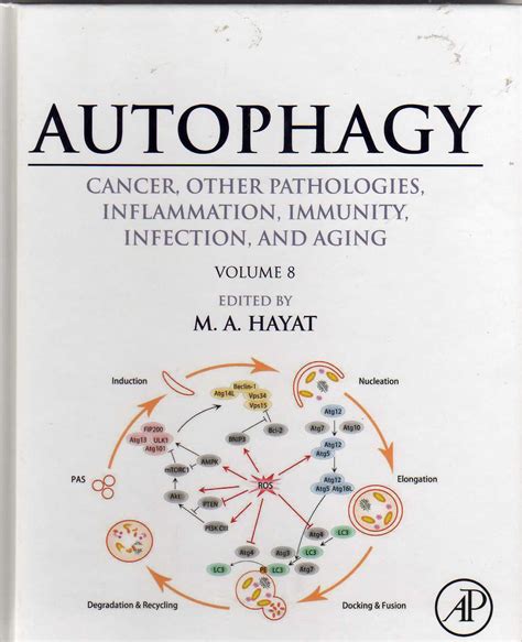 download Inflammation and Immunity in Cancer
