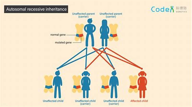 Inheritance Pattern Of Autosomal Recessive Disorders
