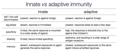 Innate Vs Adaptive Immunity Chart