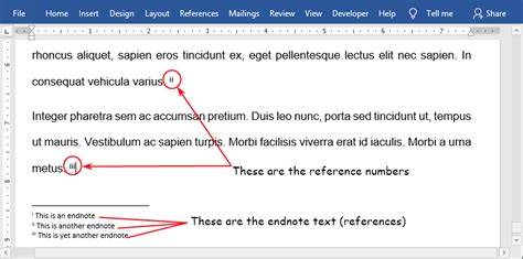 Insert Endnote