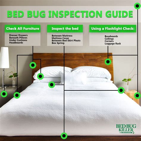 Inspect Your Bed Regularly