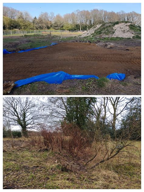 Inspectas Land Remediation LTD - Japanese Knotweed Specialists