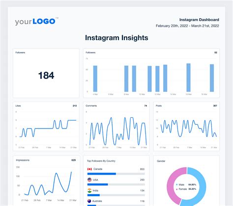 Instagram Insights Report Template