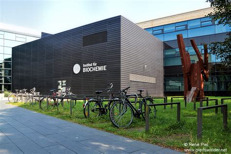 Institut für Biochemie | Charité Universitätsmedizin Berlin