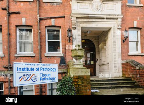 Institute of Pathology