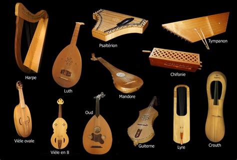 Instruments Cordes à Pieusse