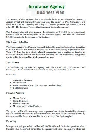 Insurance Agency Business Plan Template
