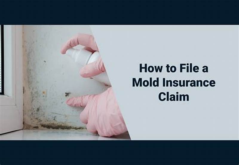 Insurance Claim Mold Testing