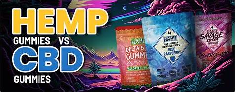 Is CBD and Hemp Gummies the Same: A Comprehensive Guide