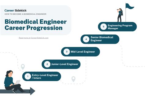 Is Biomedical Engineering A Good Career
