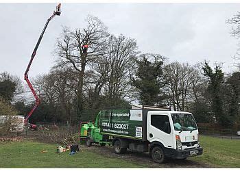 J F TREE SPECIALIST LTD