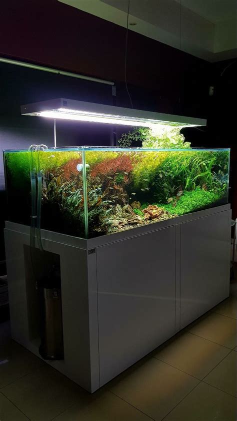 JBL Aquarium Decorator and fish feed