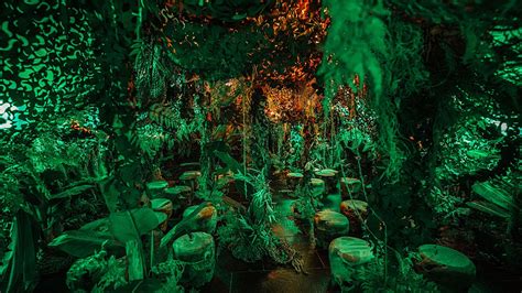 JUNGLE à Lyon