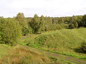 Jacksons Brickworks Local Nature Reserve