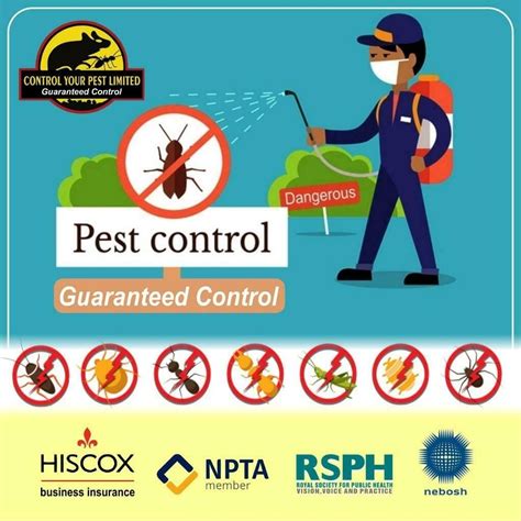 Jagannath Pest Control Services- Best pest control services in bhubaneswar