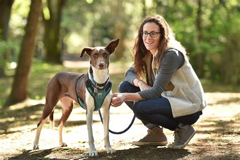 Jane's Dog Walking & Pet Sitting in Norfolk and Suffolk