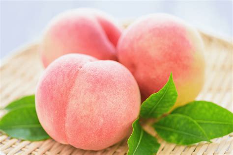 Japanese Peach