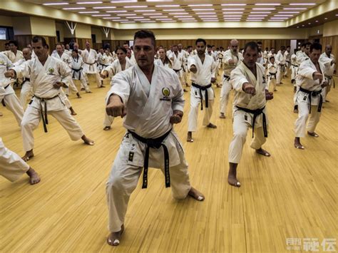 Japanese budo karate school international