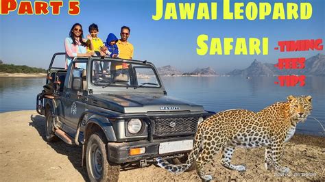 Jawai Dam Stay. Leopard Safari & Birds Photography.