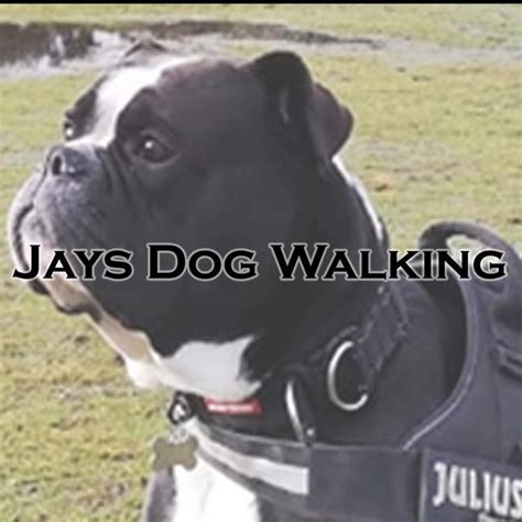 Jays Dog Walking