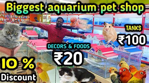Jeeva aquarium and pet shop