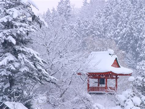Jepang Musim Dingin Kopi