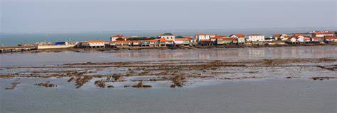 Joneau Fréderic à Bourcefranc-le-Chapus