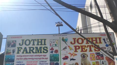 Jothi pets and nursery