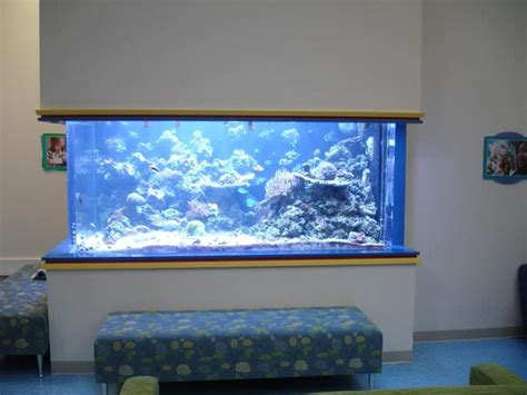 Judes Aquarium