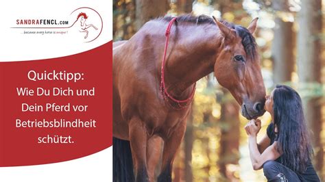 Jule Brüggemann - Ganzheitliche Pferdegesundheit