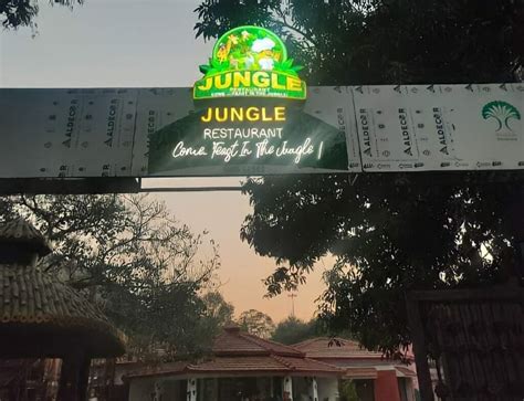 Jungle restaurant