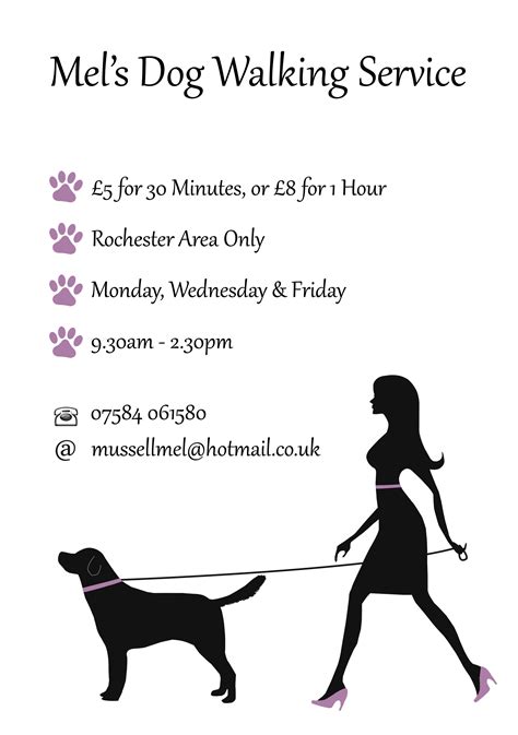 K9 to 5 Dog walking service Chester-le-street