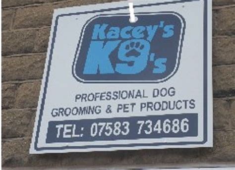 KACEYS K9S