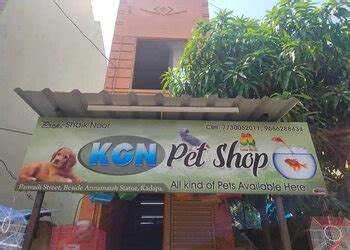 KGN pet shop