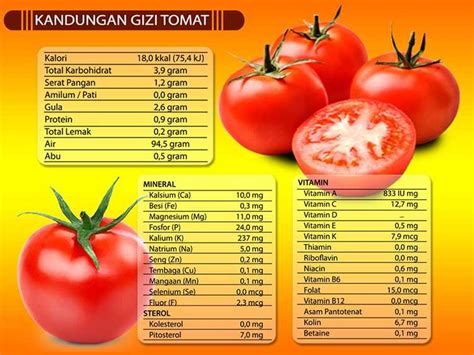 Kandungan Nitrogen untuk Tomat