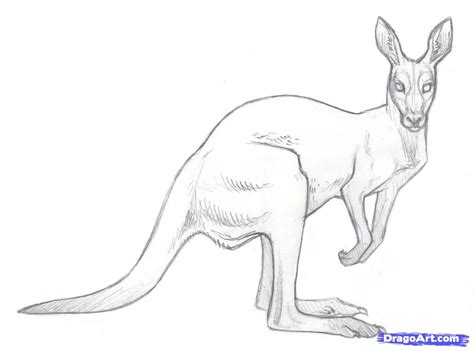 KangaRose Onlyfans Leak 59 PPV