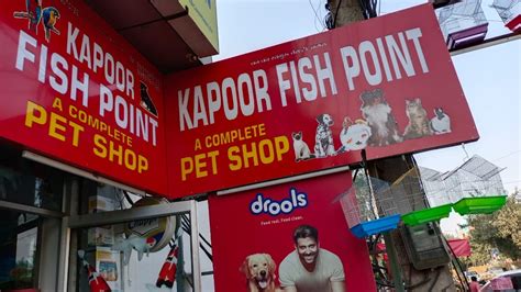 Kapoor Fish Point-Pet Shop/Pet Food/Pet Accessories/Fish Aquarium/Bird/Fish/Dog Shop in Gurgaon