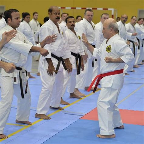 Karate Do Okinawan Shorin Ryu Seibukan Kollam