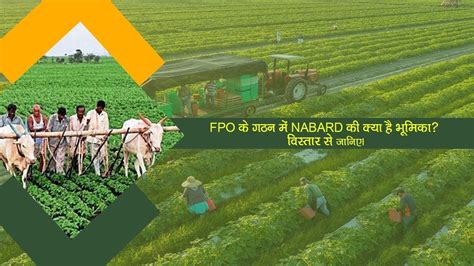Kaswan Krishak Vikas Farmer Producer Company Limited