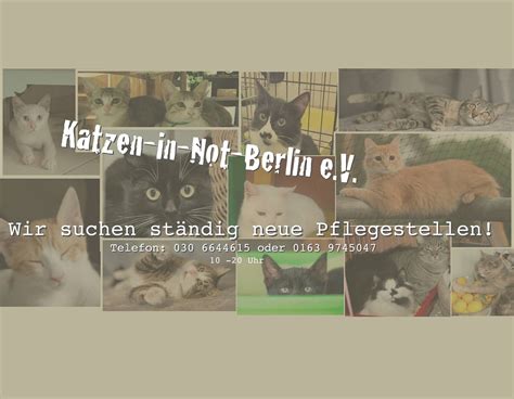 Katzen in Not Berlin e.V.