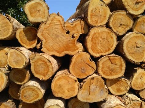 kayu natural sebagai bahan utama