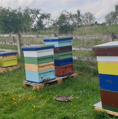 Kazim's Bees and Honey Warwickshire
